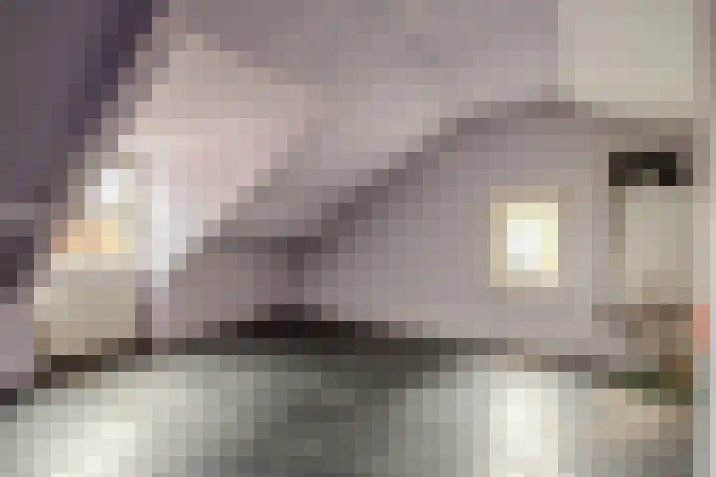 Kraanpoort 2 Roermond thumbnail 14