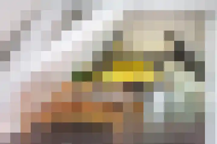 Kraanstraat 10 Utrecht thumbnail 64
