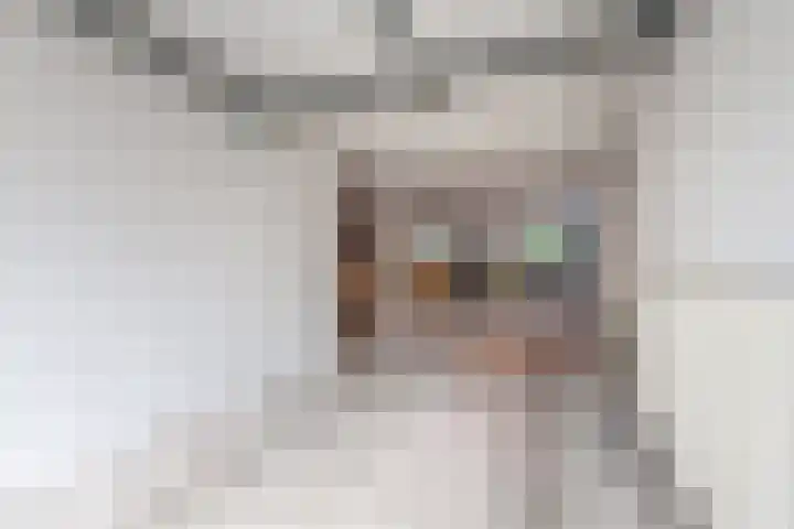 Kraanstraat 10 Utrecht thumbnail 69
