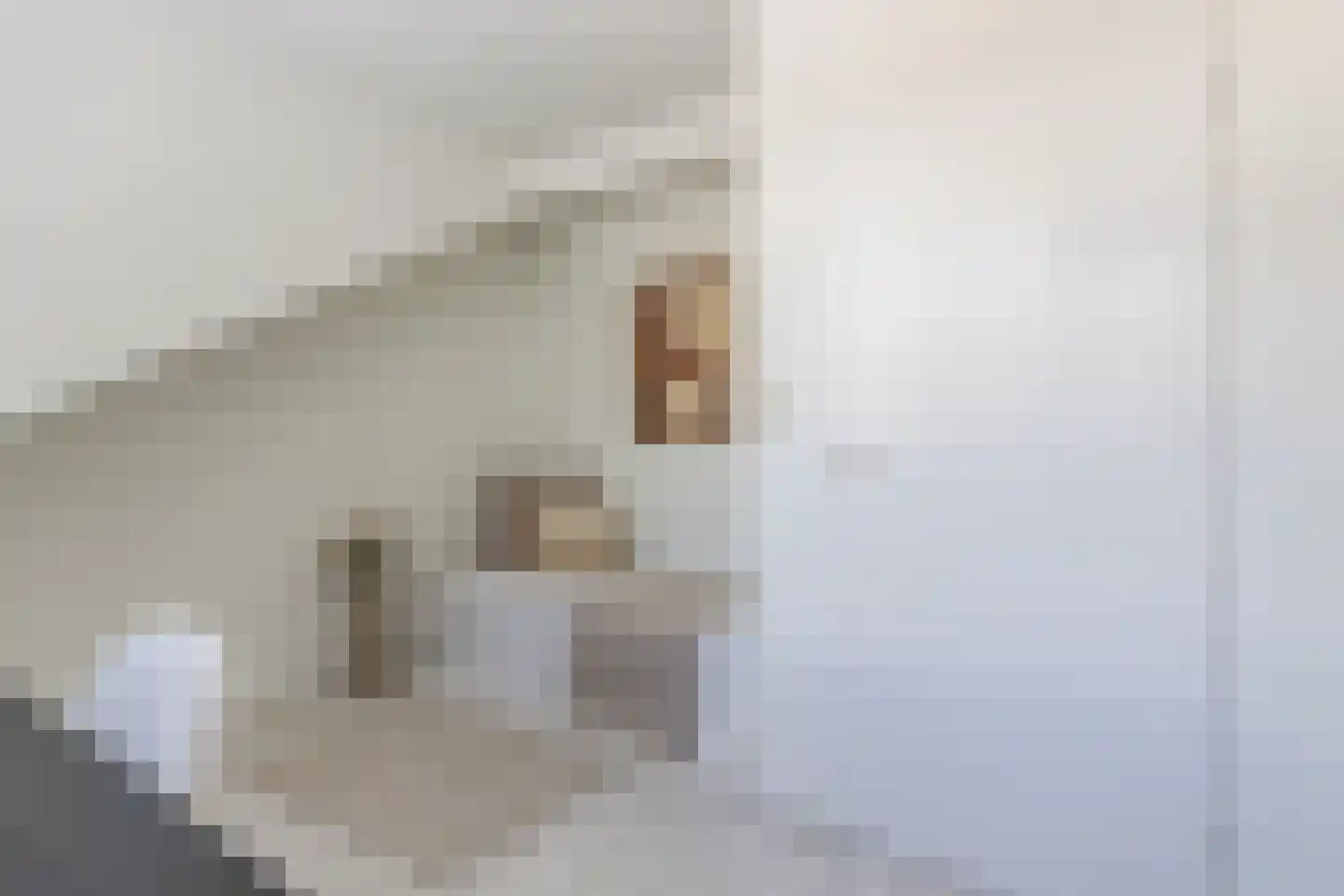 Kraanstraat 12 Utrecht thumbnail 26