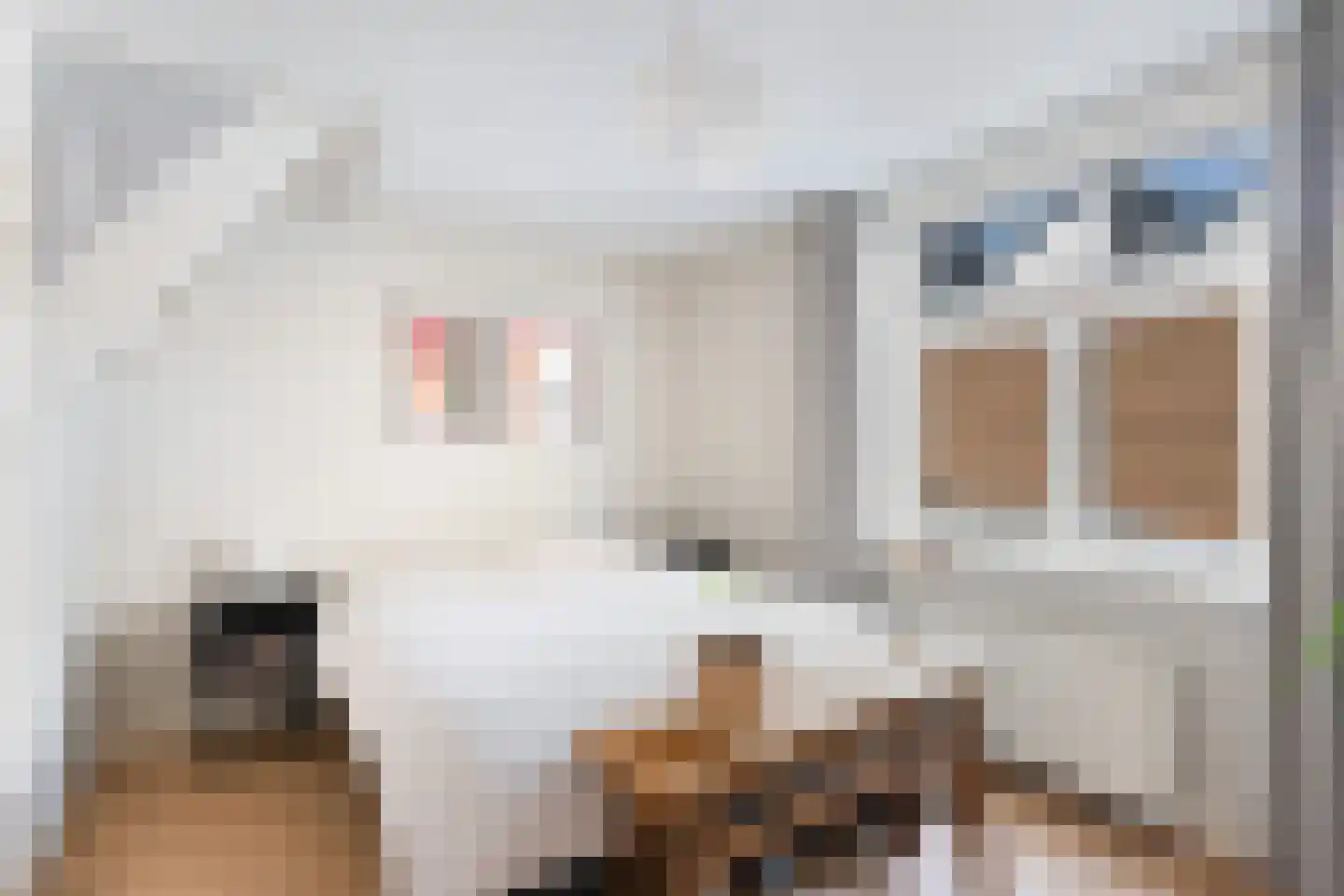 Kraanstraat 26 Utrecht thumbnail 29