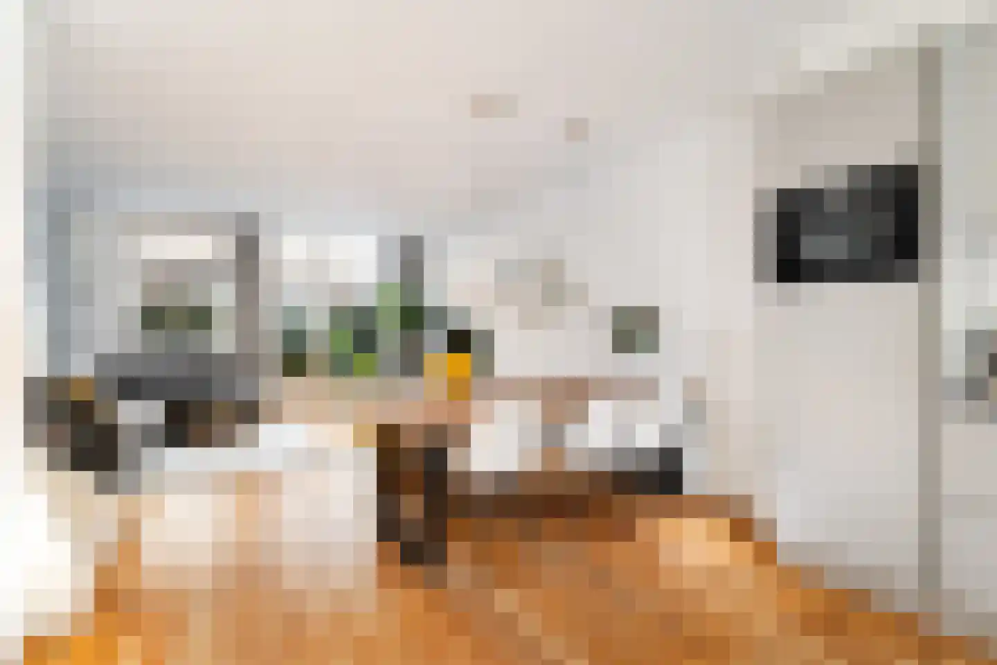 Kraanstraat 26 Utrecht thumbnail 8