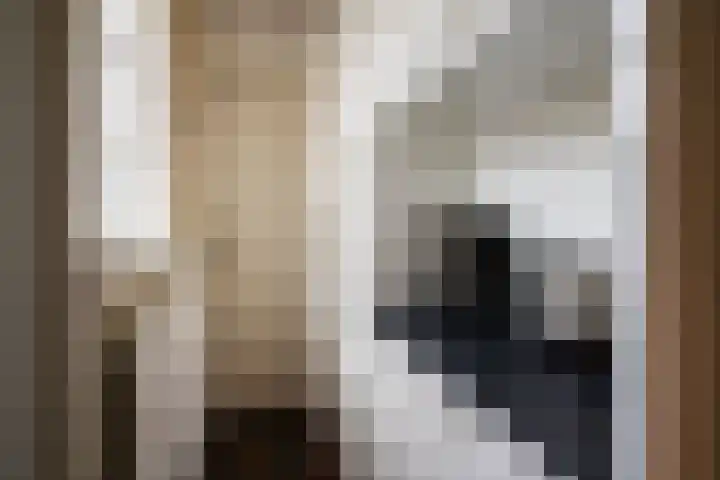 Kraanstraat 4 Veere thumbnail 17