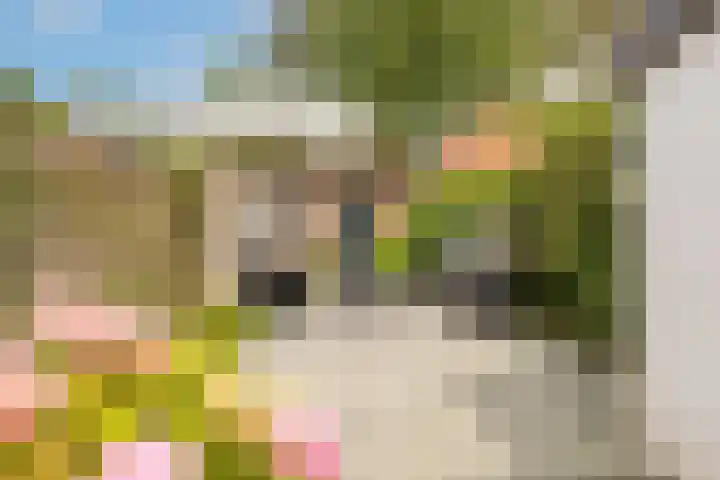 Kraanstraat 4 Veere thumbnail 25