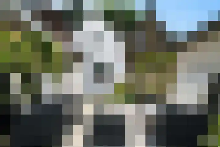 Kraanstraat 4 Veere thumbnail 27