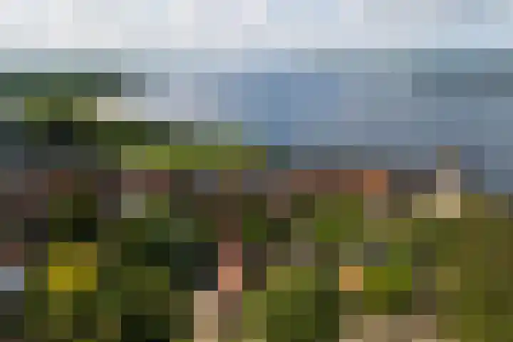 Kraanstraat 4 Veere thumbnail 30