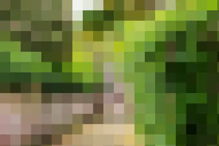 Kraanstraat 4 Veere thumbnail 37