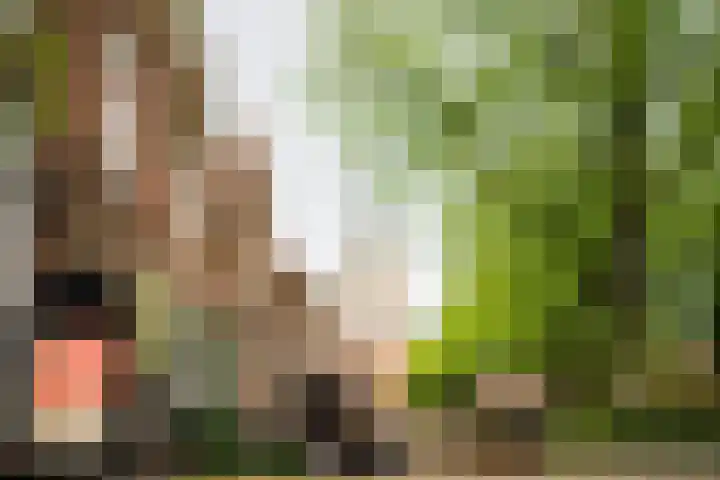 Kraanstraat 4 Veere thumbnail 39