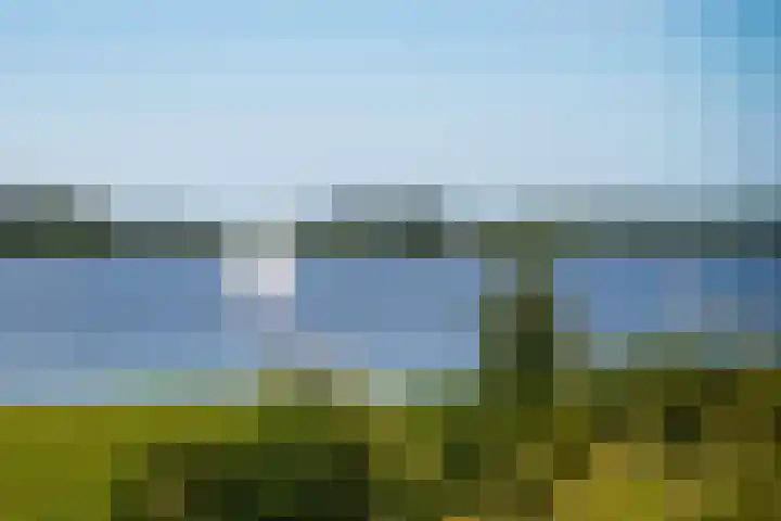 Kraanstraat 4 Veere thumbnail 46