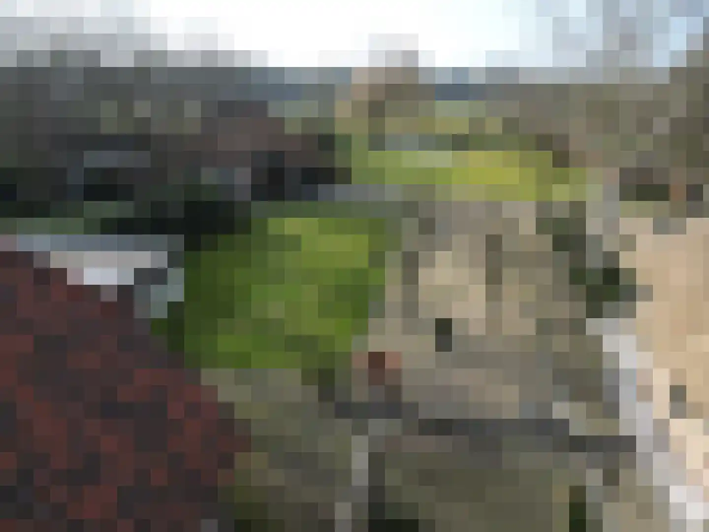 Kraanven 20 Loon op Zand thumbnail 4
