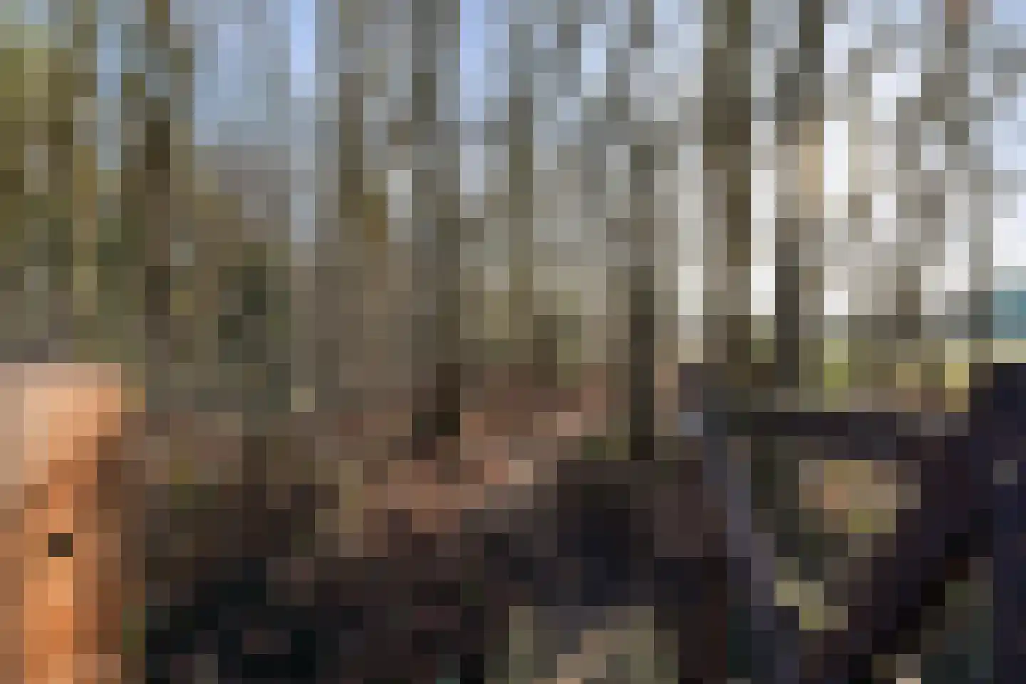 Kraanven 20 Loon op Zand thumbnail 49