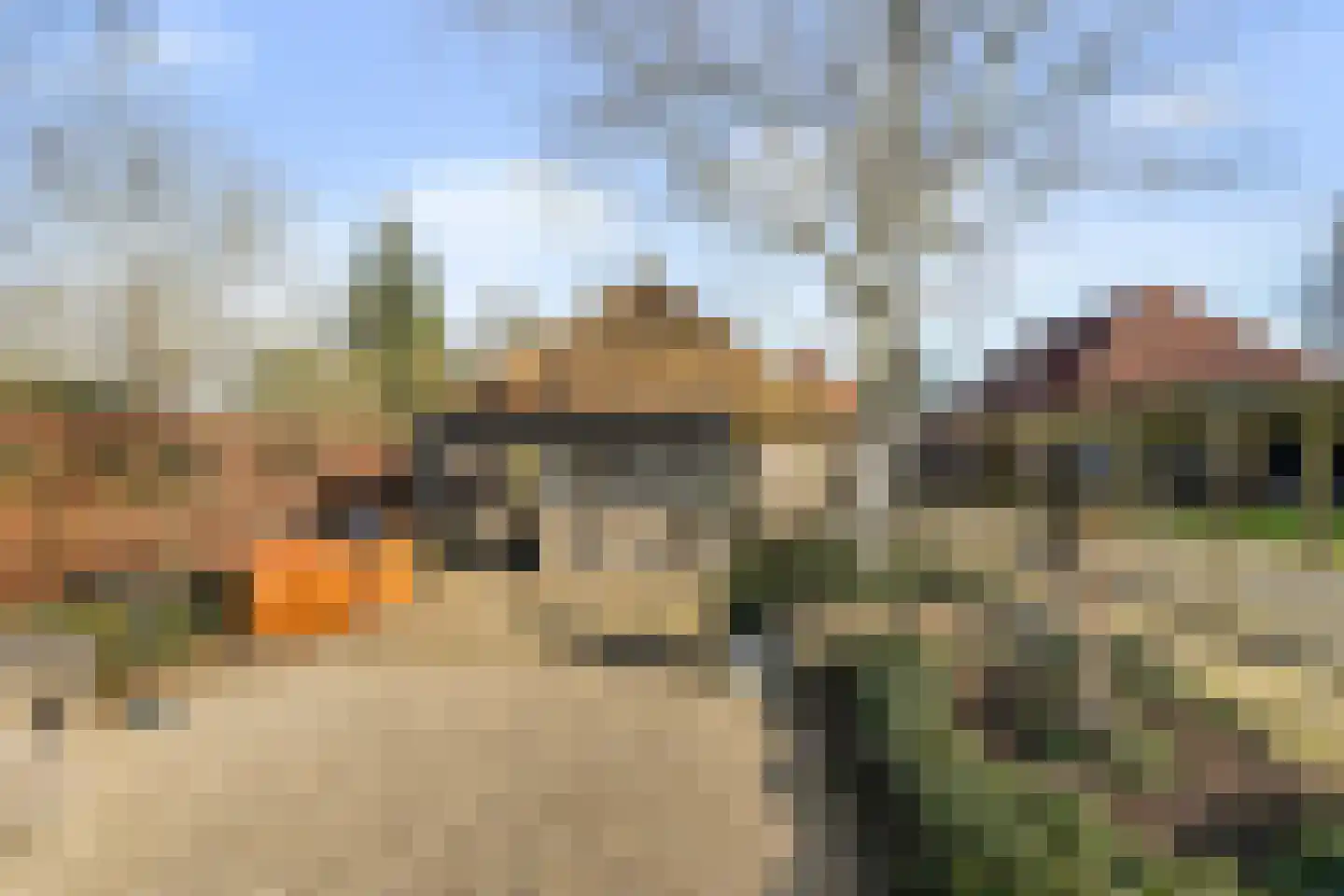 Kraanven 20 Loon op Zand thumbnail 52