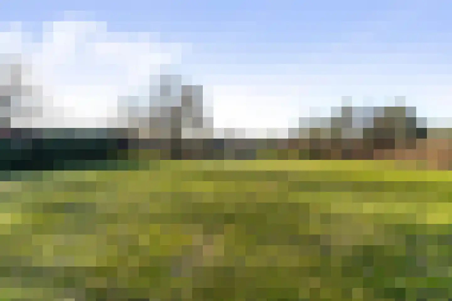 Kraanven 20 Loon op Zand thumbnail 58