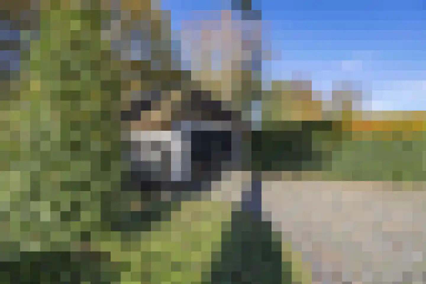 Kraanven 21 Loon op Zand thumbnail 46