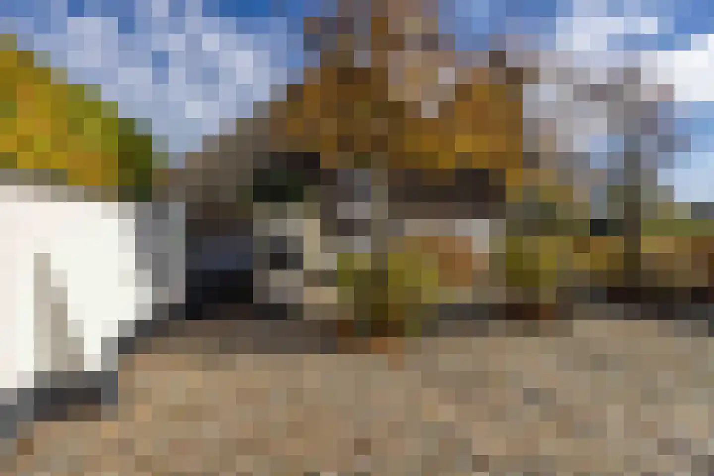 Kraanven 21 Loon op Zand thumbnail 57
