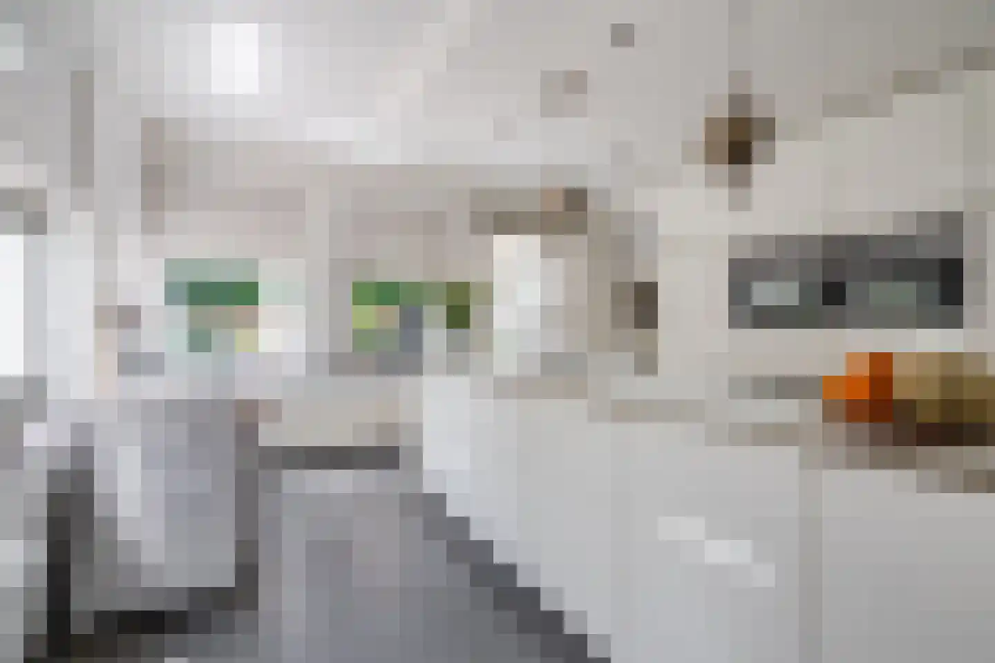 Kraanven 26 Leende thumbnail 21