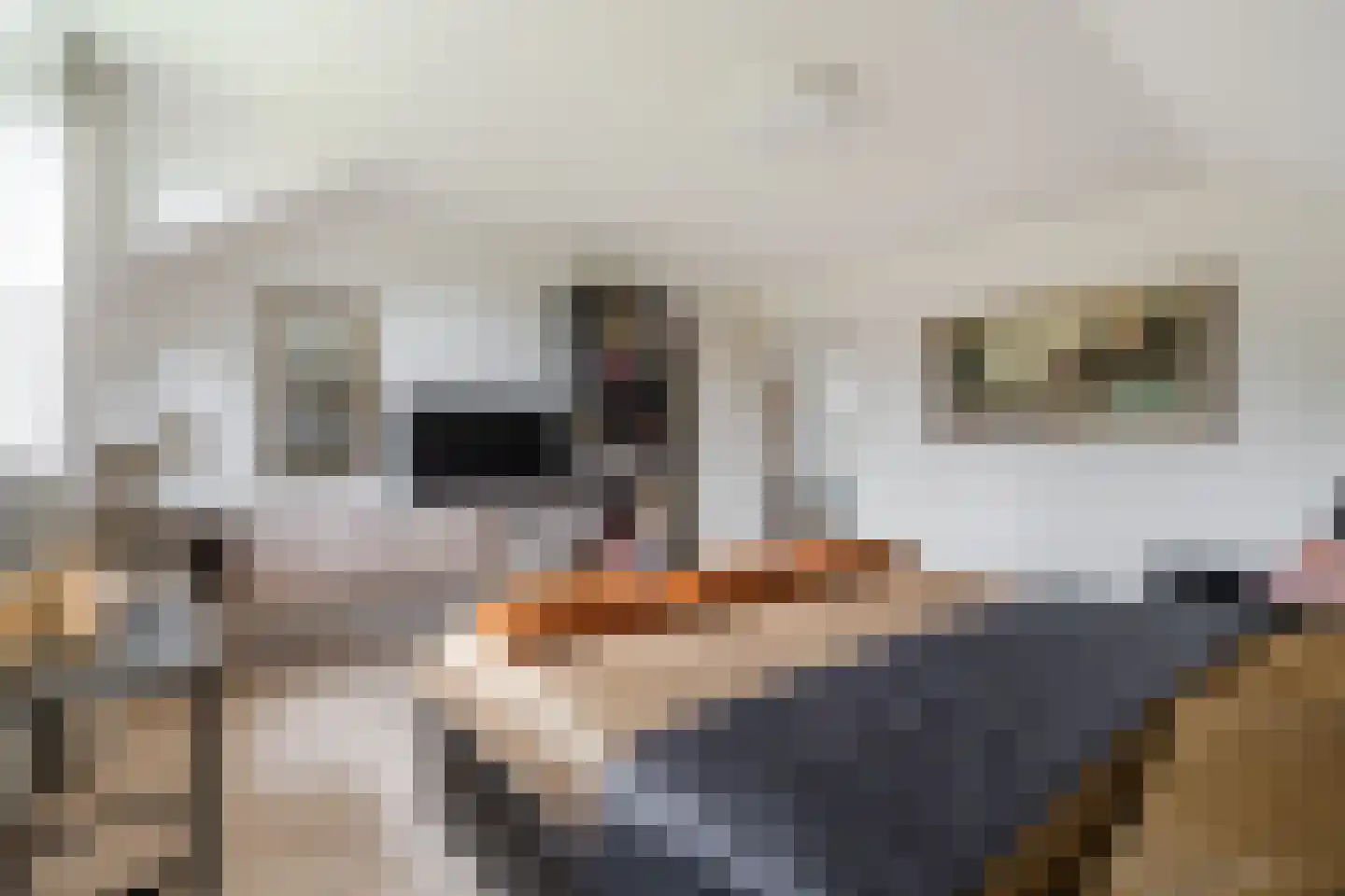 Kraanven 26 Leende thumbnail 31