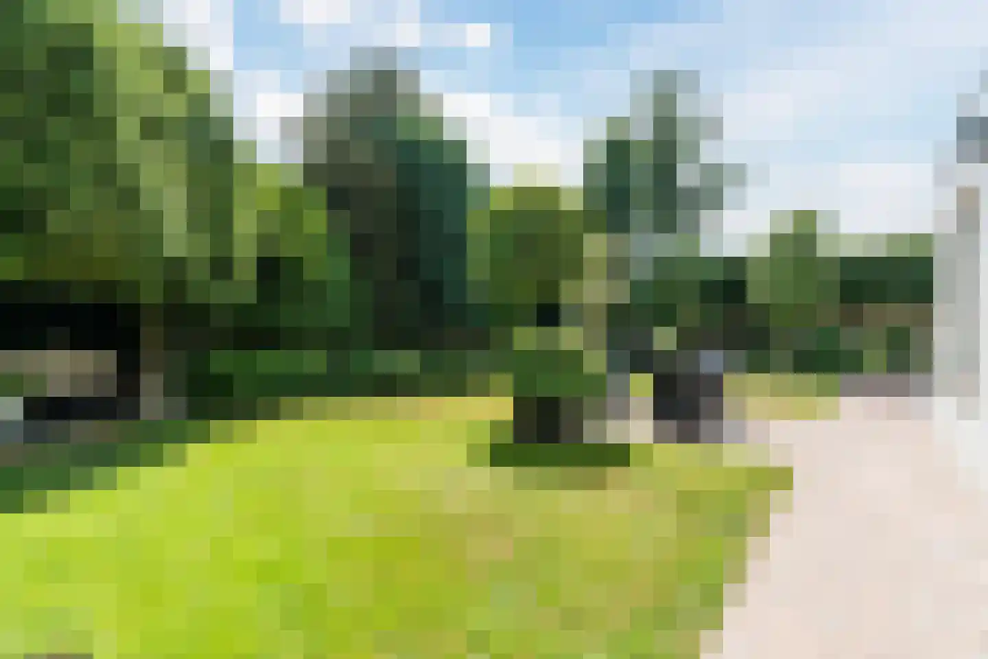 Kraanven 26 Leende thumbnail 37