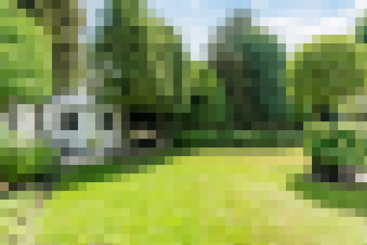 Kraanven 26 Leende thumbnail 38