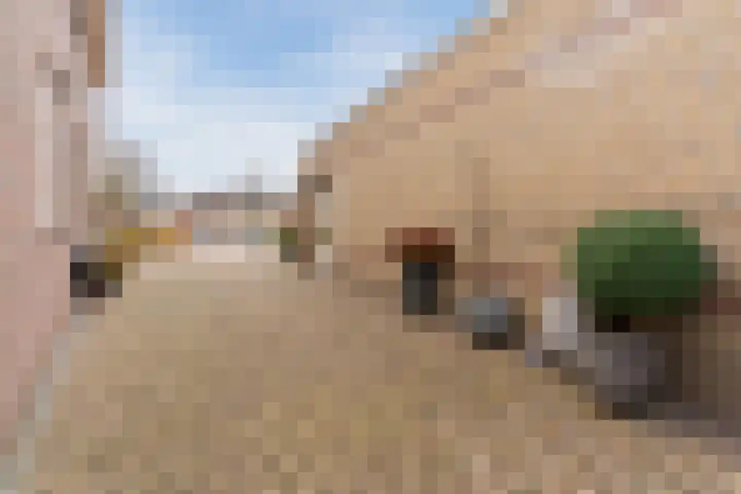 Kraanven 45 Leende thumbnail 48