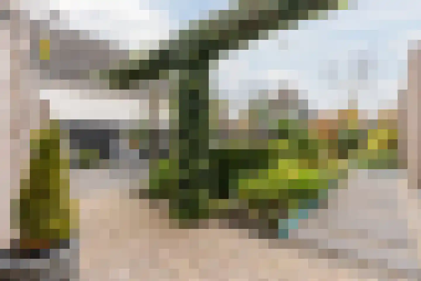 Kraanven 45 Leende thumbnail 68