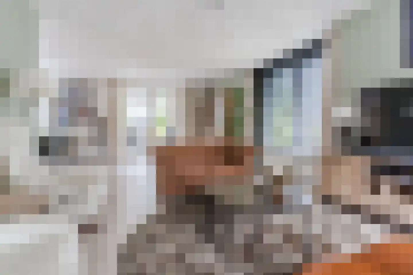 Kraanven 45 Leende thumbnail 8