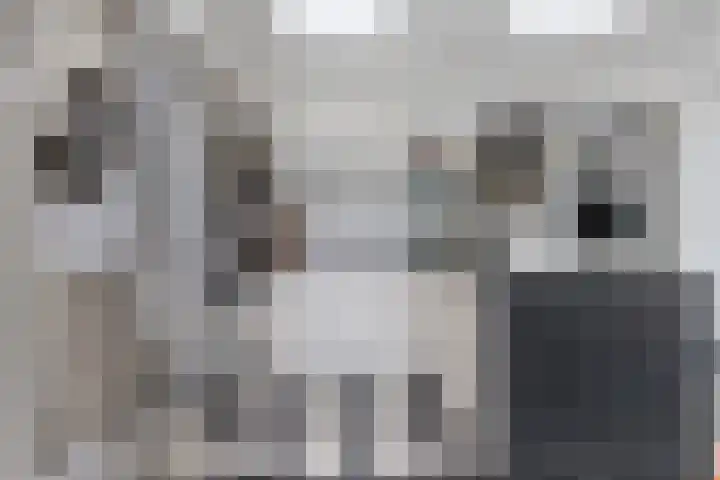 Kraanven 5 Eindhoven thumbnail 14