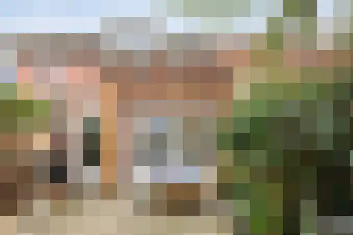 Kraanven 5 Eindhoven thumbnail 34