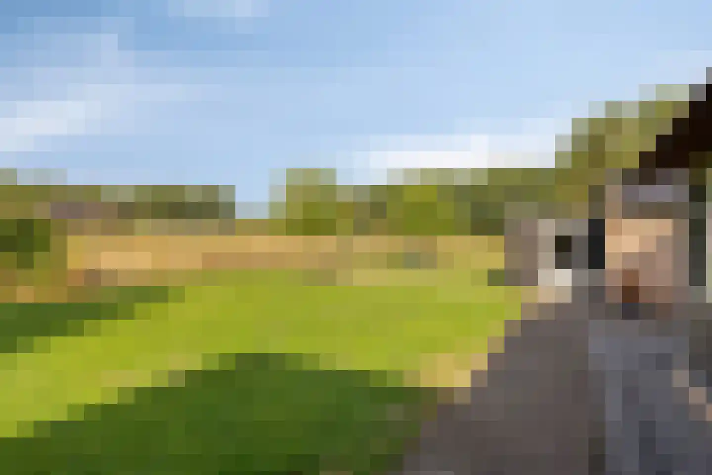 Kraanven 5 Loon op Zand thumbnail 49
