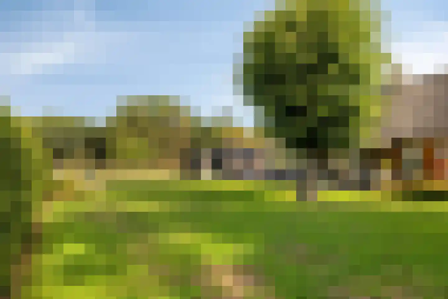 Kraanven 5 Loon op Zand thumbnail 5