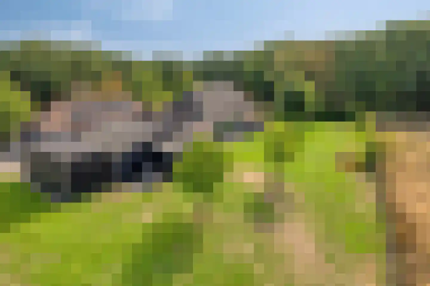Kraanven 5 Loon op Zand thumbnail 61