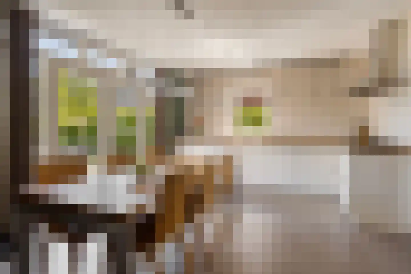 Kraanvogel 10 Terneuzen thumbnail 13