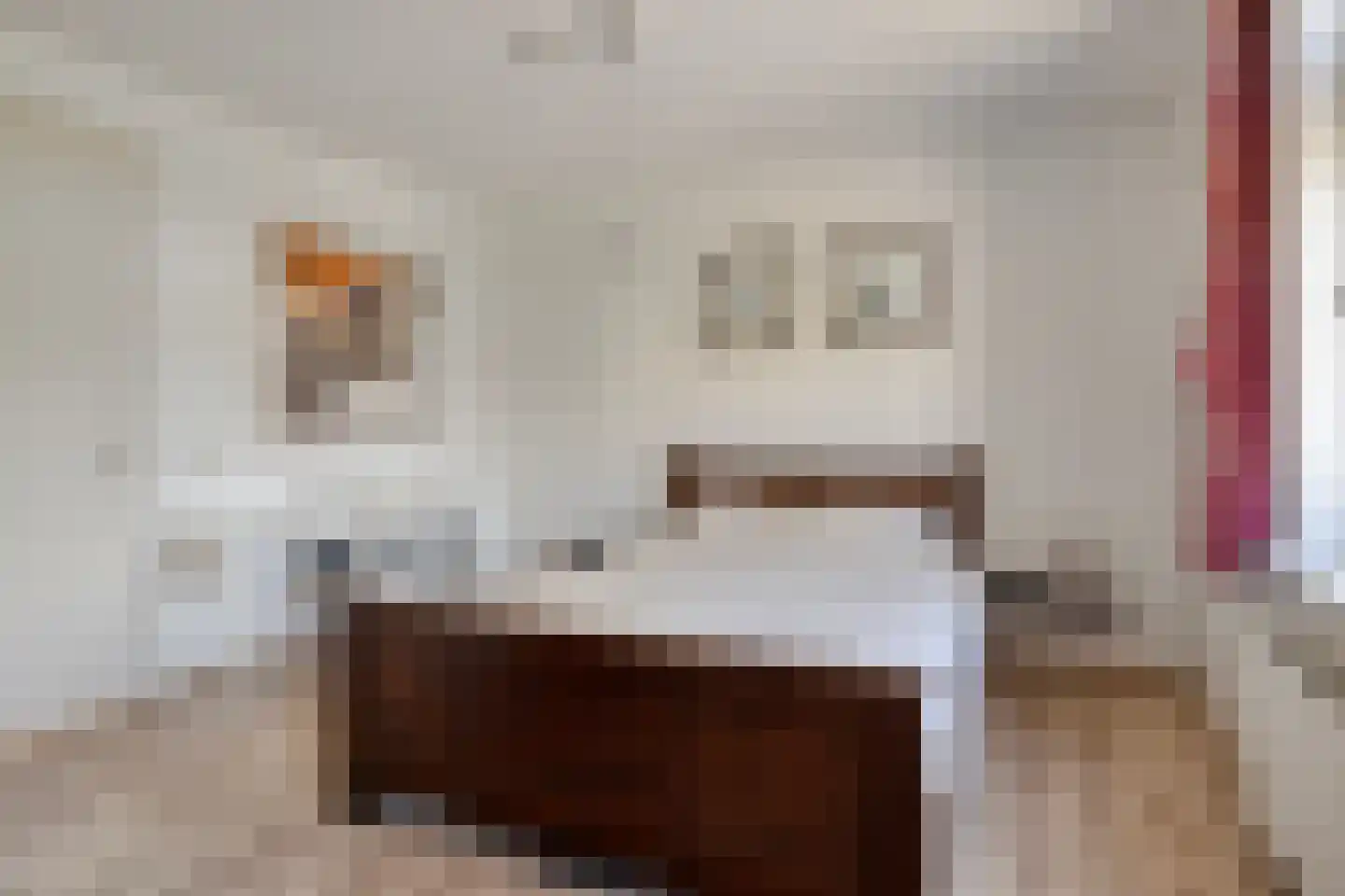 Kraanvogel 10 Terneuzen thumbnail 20
