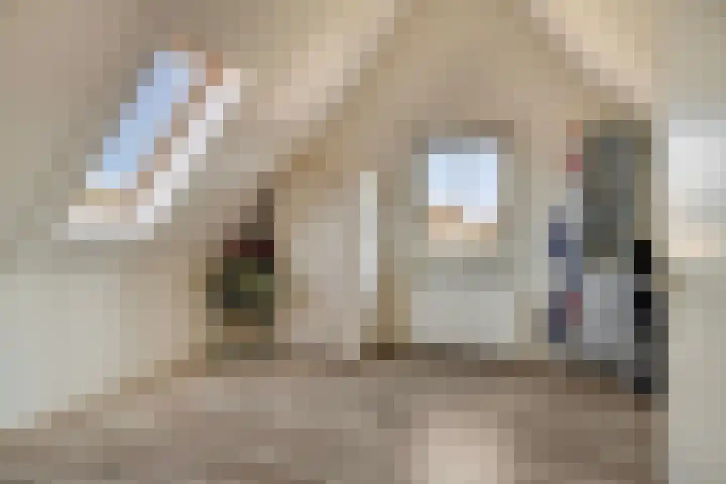 Kraanvogel 10 Terneuzen thumbnail 29