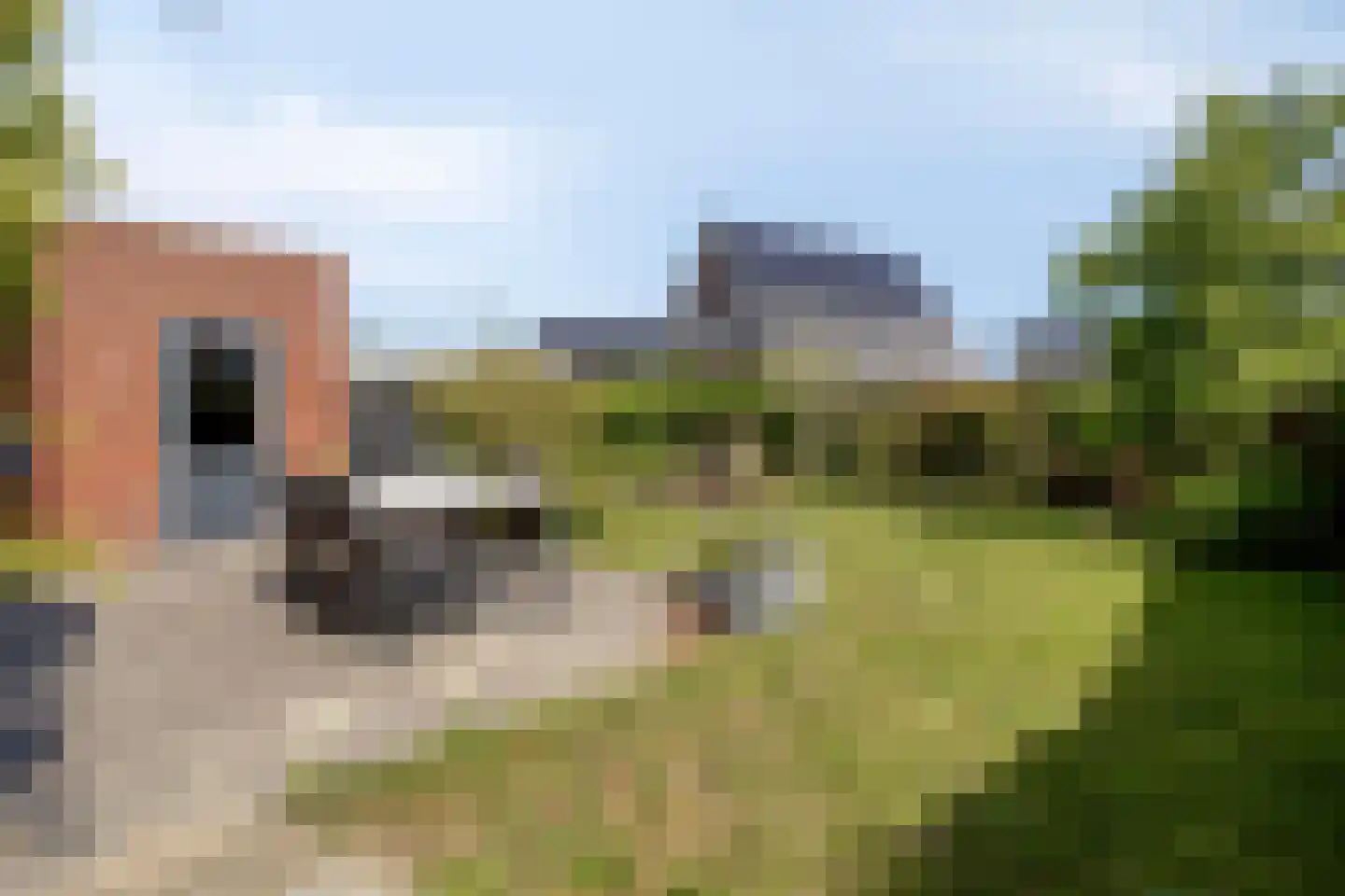 Kraanvogel 10 Terneuzen thumbnail 31