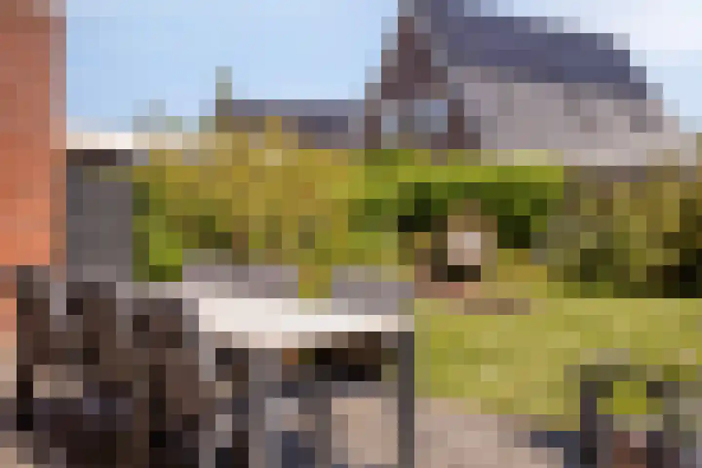 Kraanvogel 10 Terneuzen thumbnail 32