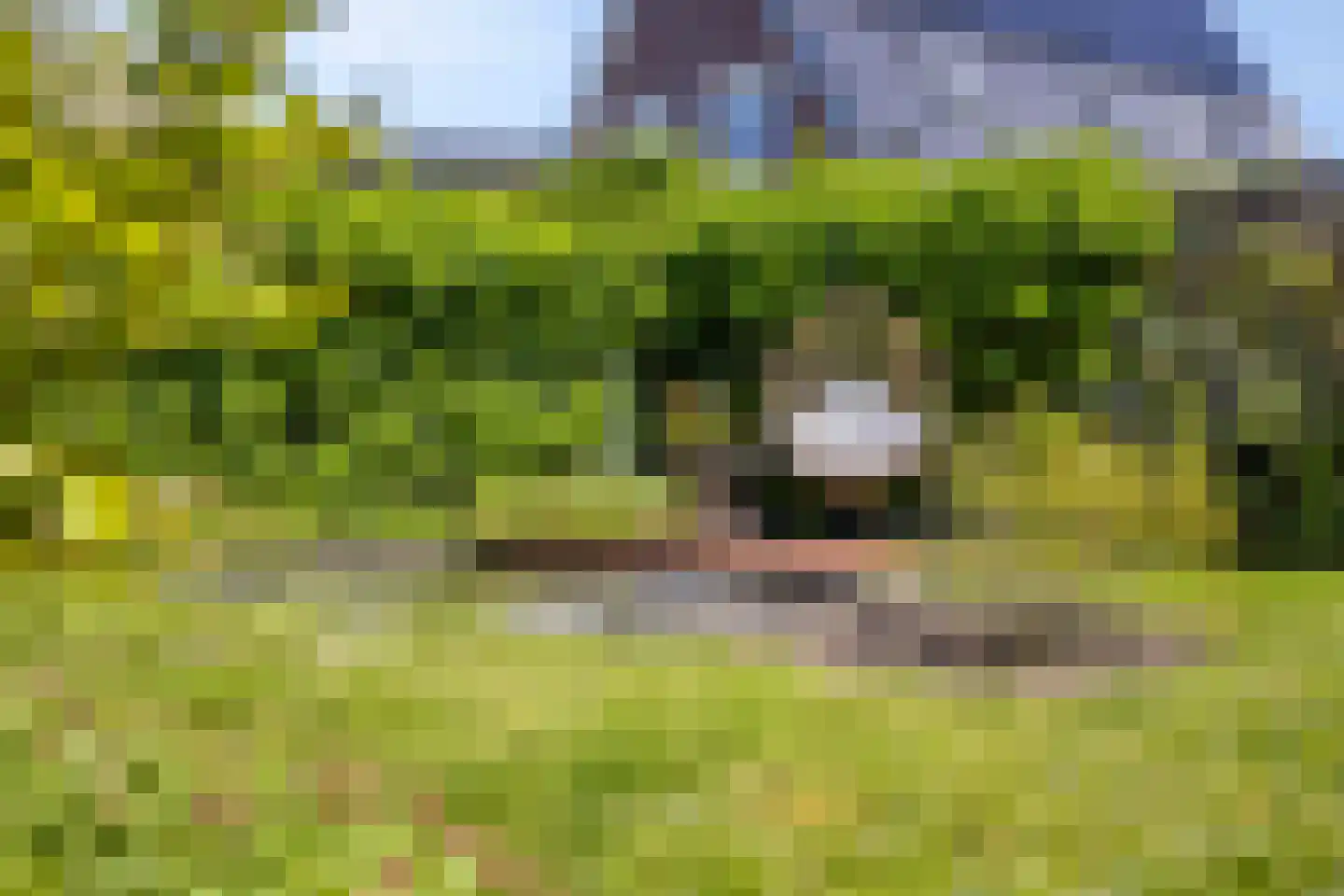 Kraanvogel 10 Terneuzen thumbnail 33