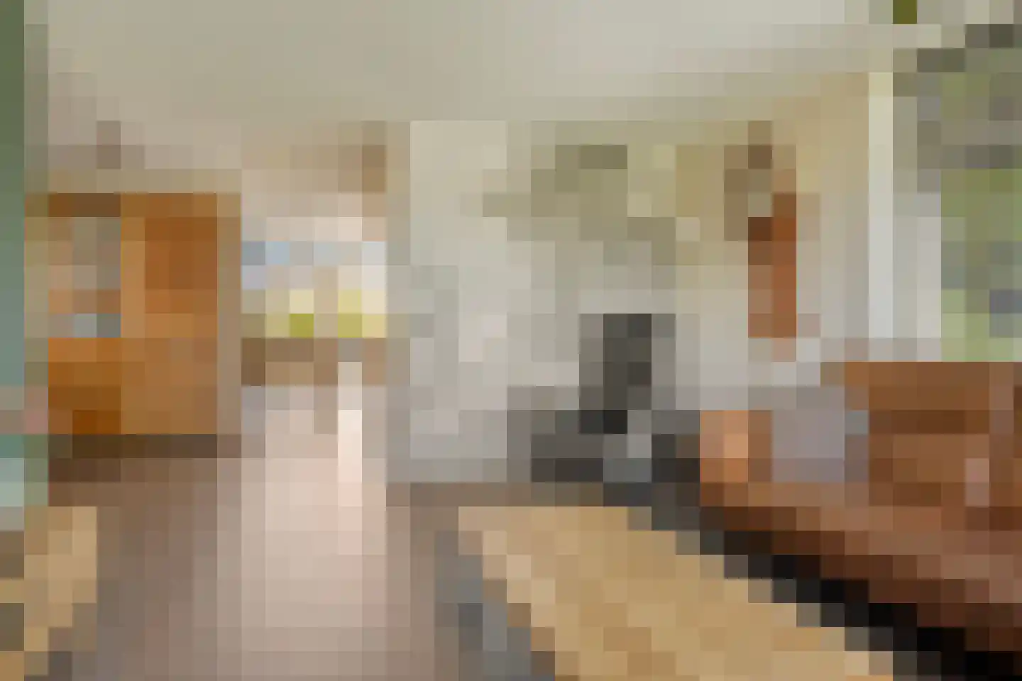 Kraanvogel 10 Terneuzen thumbnail 9