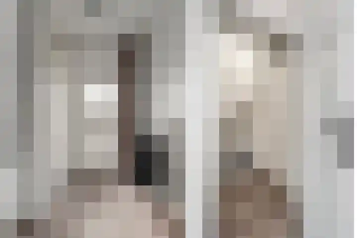 Kraanvogel 12 Nieuwegein thumbnail 10