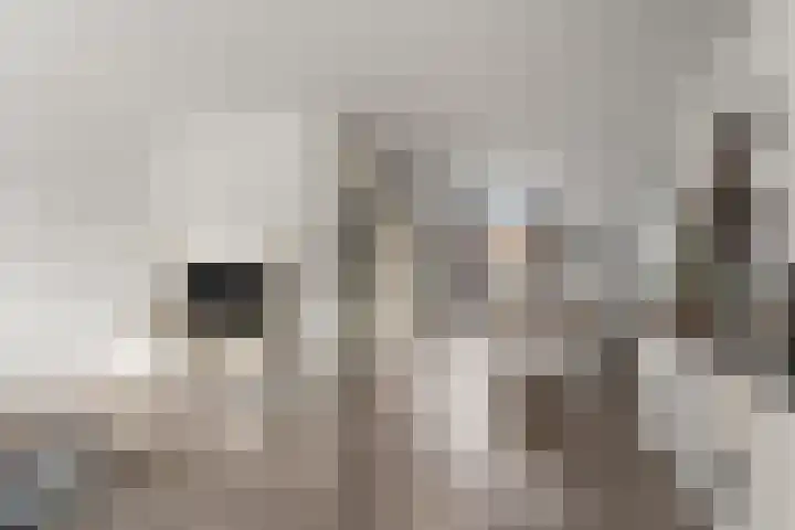 Kraanvogel 12 Nieuwegein thumbnail 12