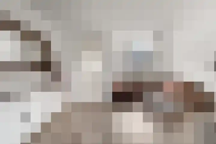 Kraanvogel 12 Nieuwegein thumbnail 13