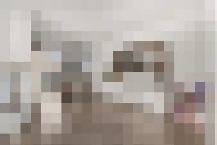 Kraanvogel 12 Nieuwegein thumbnail 15