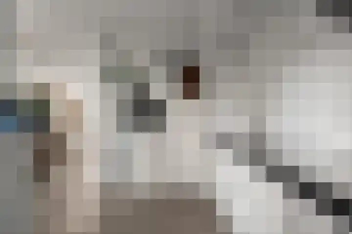 Kraanvogel 12 Nieuwegein thumbnail 16