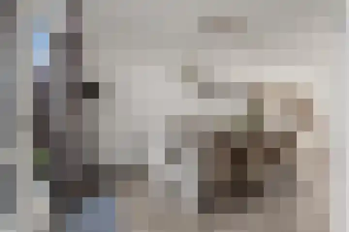Kraanvogel 12 Nieuwegein thumbnail 17