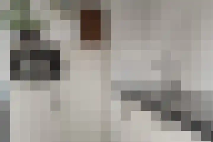 Kraanvogel 12 Nieuwegein thumbnail 20