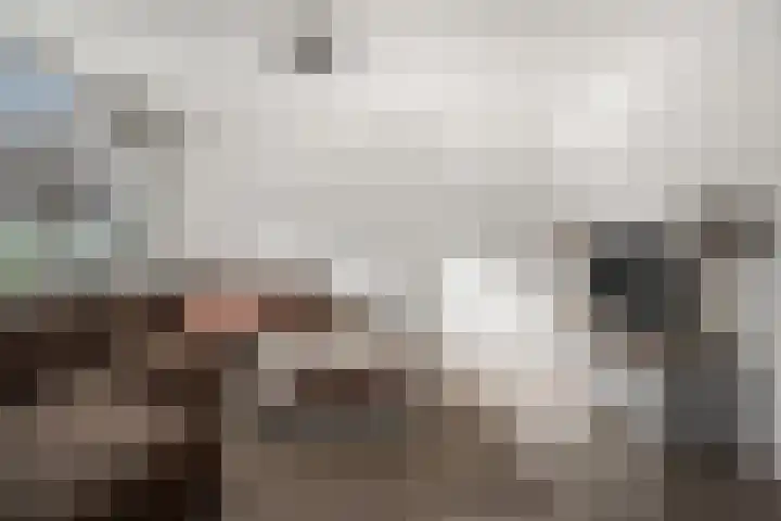 Kraanvogel 12 Nieuwegein thumbnail 23