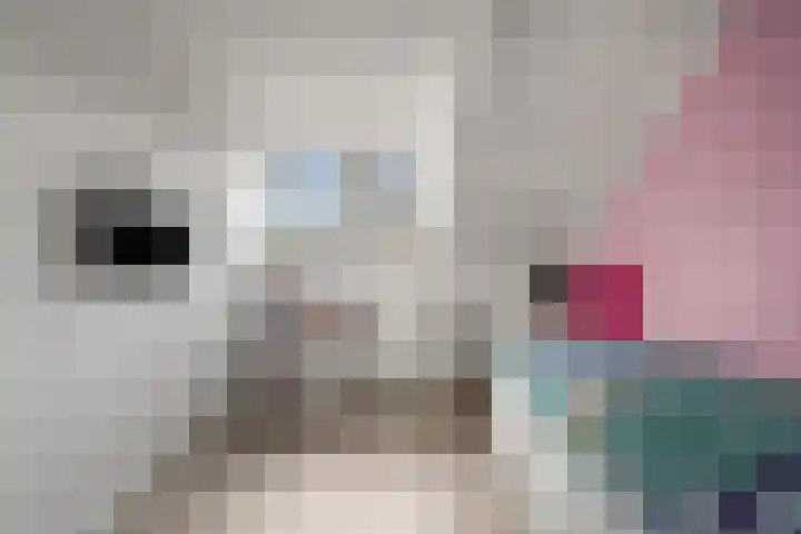 Kraanvogel 12 Nieuwegein thumbnail 27