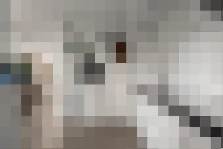 Kraanvogel 12 Nieuwegein thumbnail 4