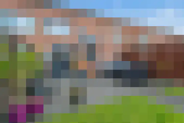 Kraanvogel 12 Nieuwegein thumbnail 41