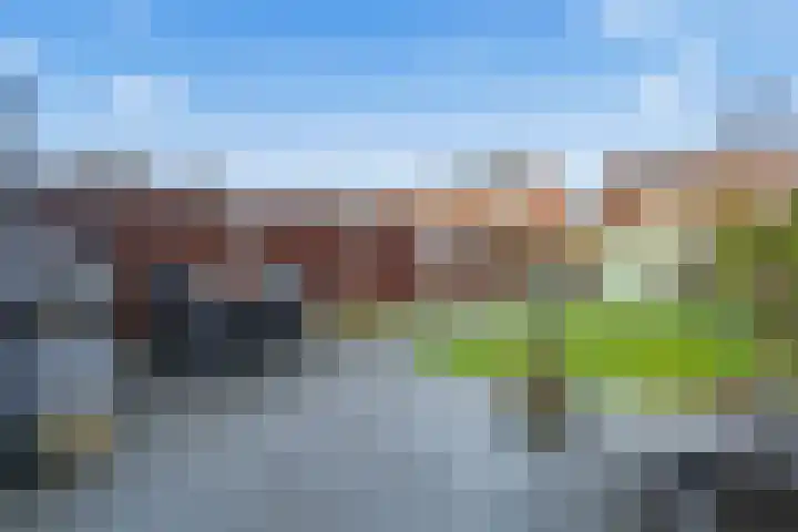 Kraanvogel 12 Nieuwegein thumbnail 43